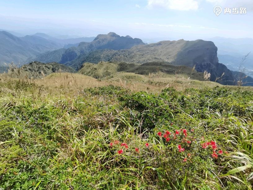 黄连盂实景参考