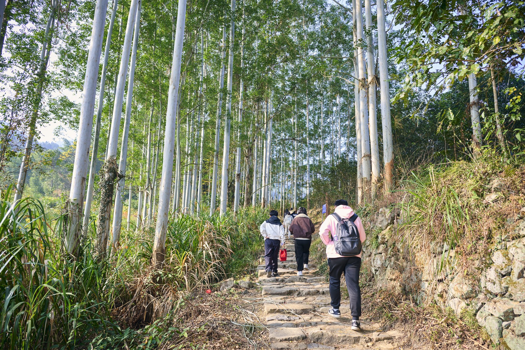 汤岭古道实景